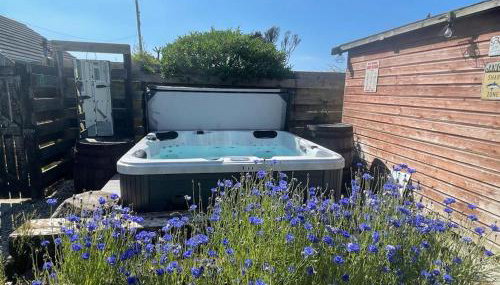 Baywatch Mawgan Porth Spacious Home sleeps 9, Games room, Parking & Garden - Foto 4, Garden, Garden view