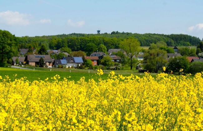 Holiday Home Am Beulskopf - Foto 11