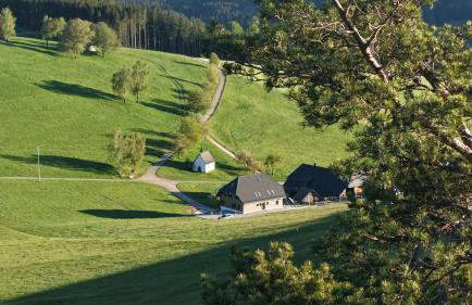 Kapellenhof Ferienwohnungen - Foto 4