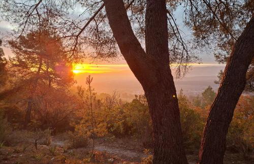 Les Ribas villa groupe, de 4 a 14 personnes, maison familiale, séjour nature, calme, Provence, Plaine des Maures, proche mer, Verdon, randonnée, terrain arboré, jeux enfants, pétanque, ping-pong, cuisine équipée, grande capacité, vacances en groupe - Foto 37