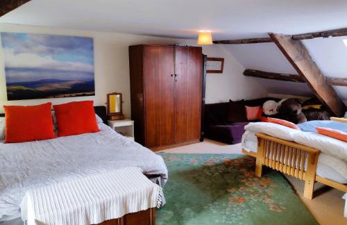 Black Dog House - Foto 23