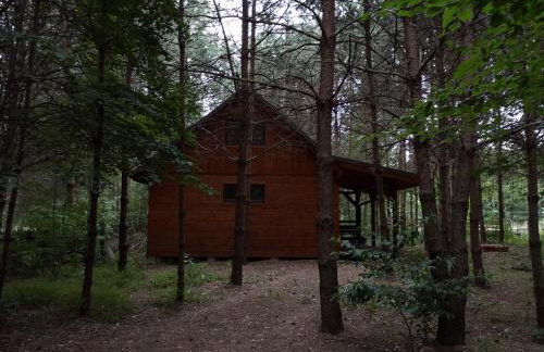 Domek letniskowy Marksewo Łoś - Foto 5