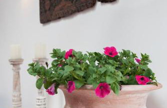 White Jasmine Cottage - Foto 44