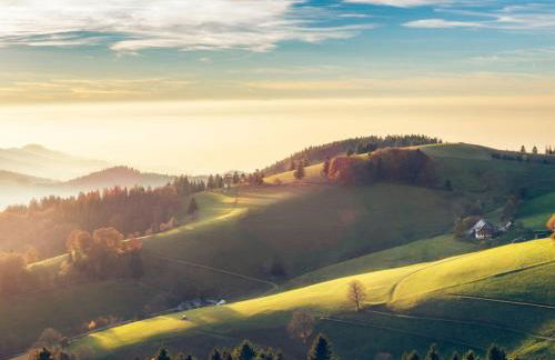 Comfortable Holiday Home in a Beautiful Location - Foto 69