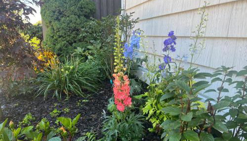 The Reminisce vacation home 5br/3bt,downtown BH - Foto 4, Garden