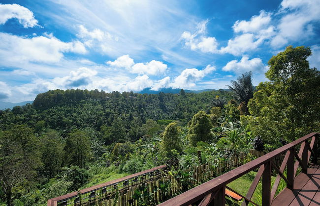 Villa Kayu Amertha - Foto 21