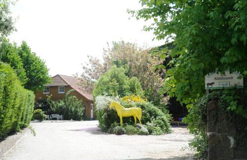 Bauernhof Koehlbrandt - Foto 77