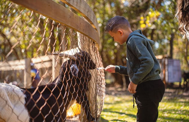 Hotel Acqua Lokos - Foto 35