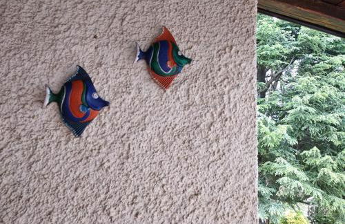 Alimede al Circeo - Foto 51