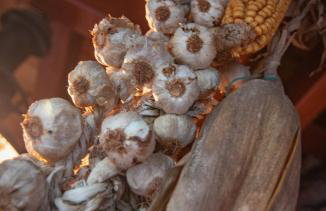 Apartments Grzin - Foto 55