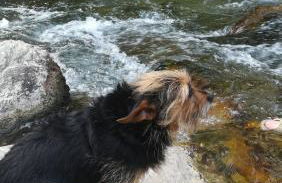 Saluda Alta - Foto 43