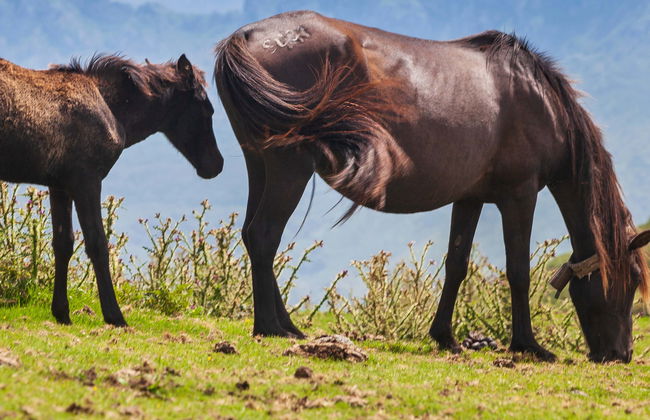 Pienzu Peak Hiking Tour - Photo 5