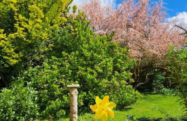 "Zur Alten Schusterei" 98597 Breitungen an der Werra - Foto 7