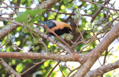Casa para temporada - Foto 8