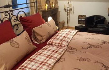 Landhauswohnung Alte Mühle - Foto 3