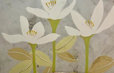 Cozy Suite Olinda - Foto 12