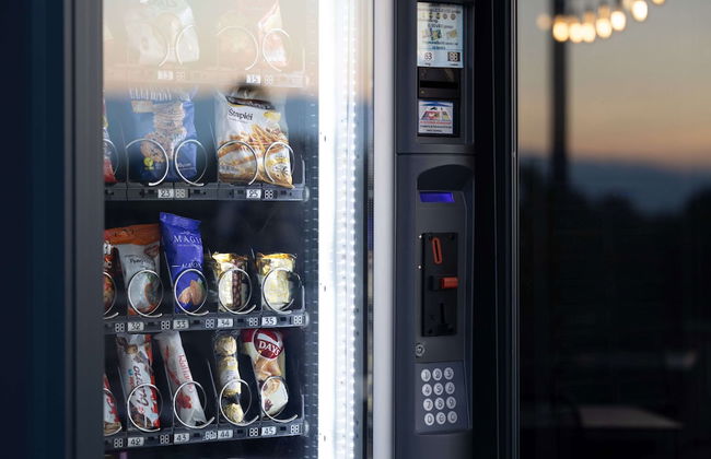 Nest Suites - Photo 62