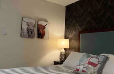 Froggy Goggle Barn - Foto 21