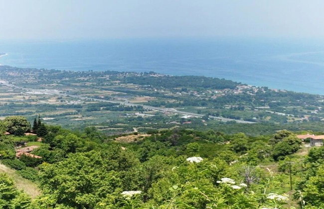 Escursione al Monte Olimpo: Cascate di Agia Kori e Palaios Panteleimonas - Foto 4