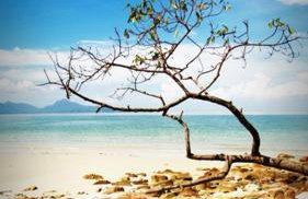 Residenza Al SoGno - on Lake Garda - Foto 38