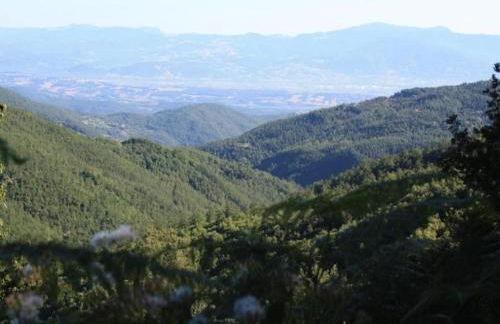 Holiday Home in Monte Santa Maria With Pool - Photo 74