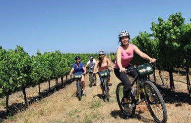 Inn Wine Country - Summers House - Foto 30