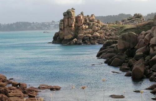 maison de pécheur typique presqu’île Saint Jacut Sur Mer - Foto 37