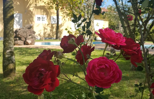 Rústico nas Alturas - Amparo - Photo 18