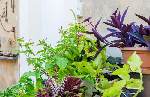 Apartment Caceris - Comfort Studio Apartment with Terrace - Photo 37