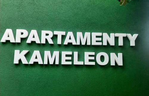 APARTAMENTY ZIELONY KAMELEON - Foto 2