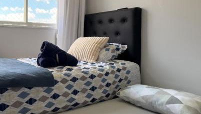 Ap São Paulo Expo Zoológico SP - Foto 4