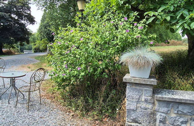 Cozy Escape in Bohon - Photo 37