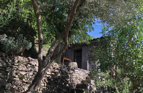 Mas du ciel en Cévennes - Photo 11