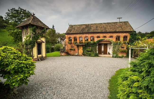 Country House Stara Kapela - Foto 33