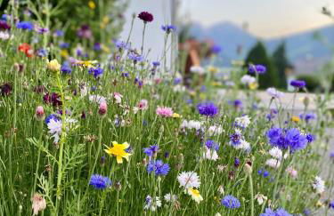 Appartements Wiesenheim - Foto 56