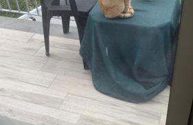 Casa in affitto - Foto 24