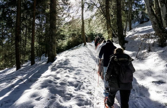 Les Cimes du Léman - Photo 23