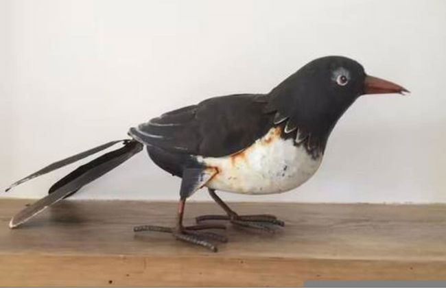 The Coach House Penzance- Cosy Nook for 2 - Foto 13