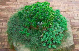 Casevacanza Trentovamare - Foto 46