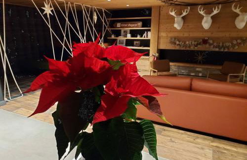 Duplex cosy avec piscine et spa, pied des pistes - FR-1-461A-25 - Foto 16