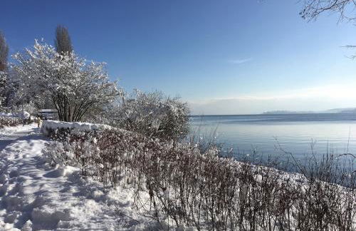 Panoramic apartment with lake and Alpine views - Foto 12