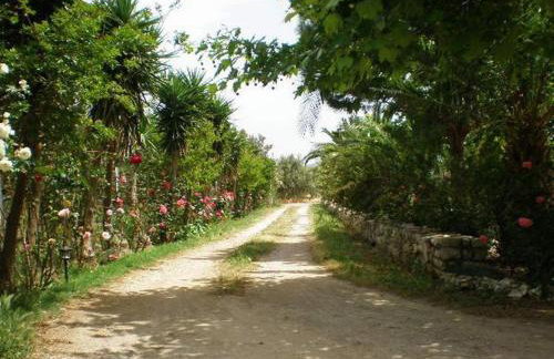 Sani Kasimis - Foto 28