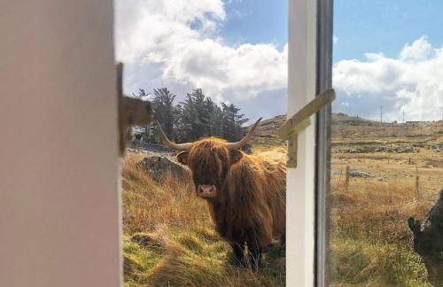 Raven Cottage - Foto 28