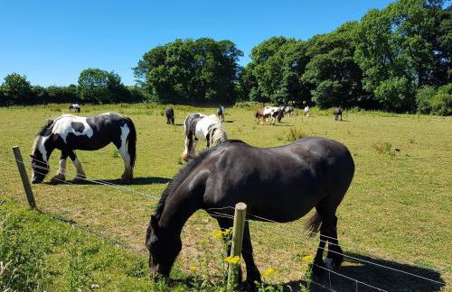 Meadow View, luxury home in heart of England - Foto 18