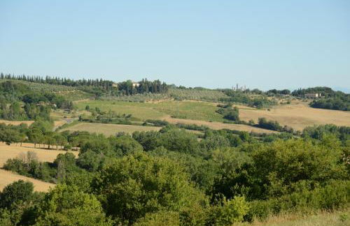 Fattoria di Mugnano - Foto 15