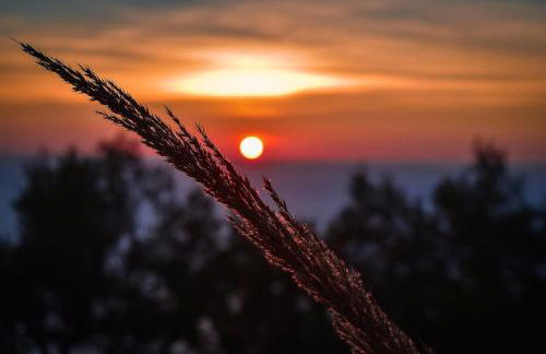 Mirsini Apartments - Foto 42