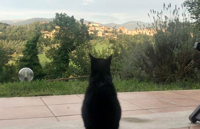 Alloggio Rurale - Foto 51