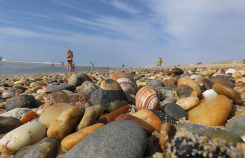 Loc de Thies - Foto 14