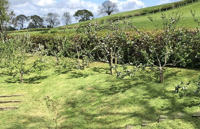 The Peacock Shepherds Hut at Hafoty Boeth - Foto 21