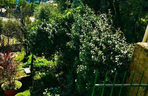 Cav Gli Ulivi di Bogliasco parcheggio privato gratuito - Foto 8